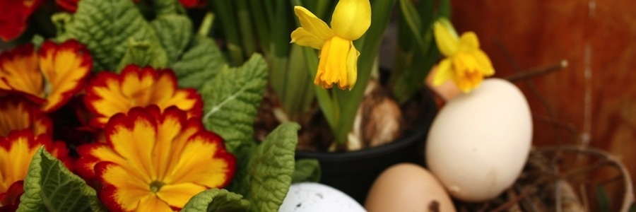Frühlingskörbchen im Volkskundemuseum Wyhra
